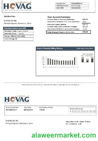 Syria HOVAG Company electricity business utility bill template in Word and PDF formats